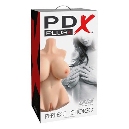 Perfect 10 Torso